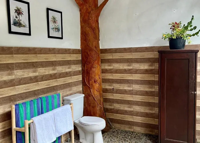 The Palms - Shores Retreat Bali